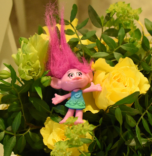 Image-preview_300x200