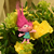 Image-square_50