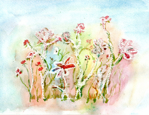 Image-preview_300x200