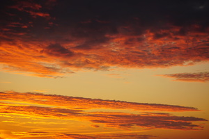 Image-preview_300x200