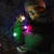 Image-square_50