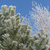 Image-square_50