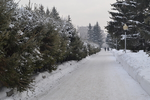 Image-preview_300x200