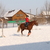Image-square_50