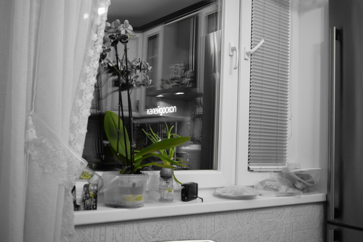 Image-normal