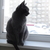 Image-square_50