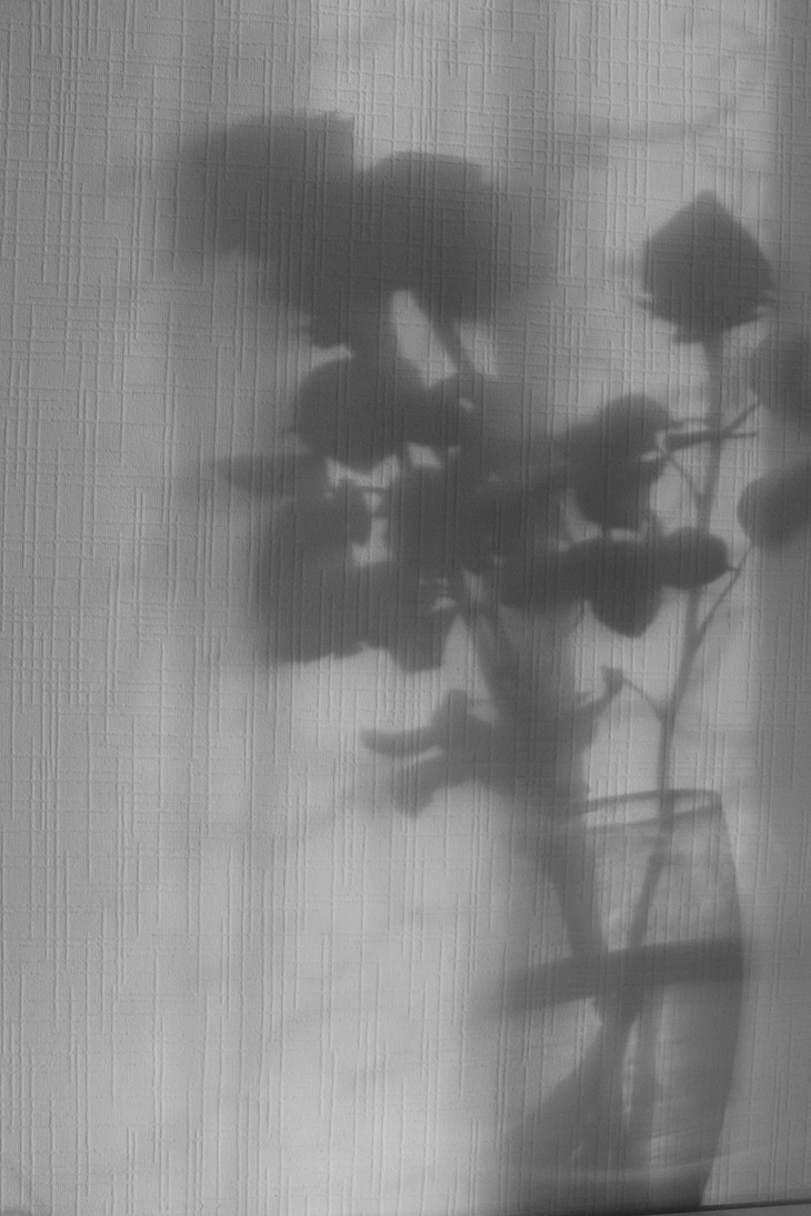 Image-normal
