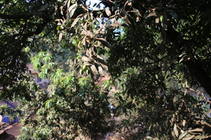 Image-preview_300x200