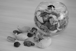 Image-preview_300x200