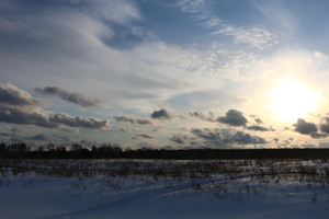Image-preview_300x200