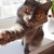 Image-square_50