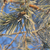Image-square_50