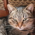 Image-square_50
