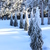 Image-square_50