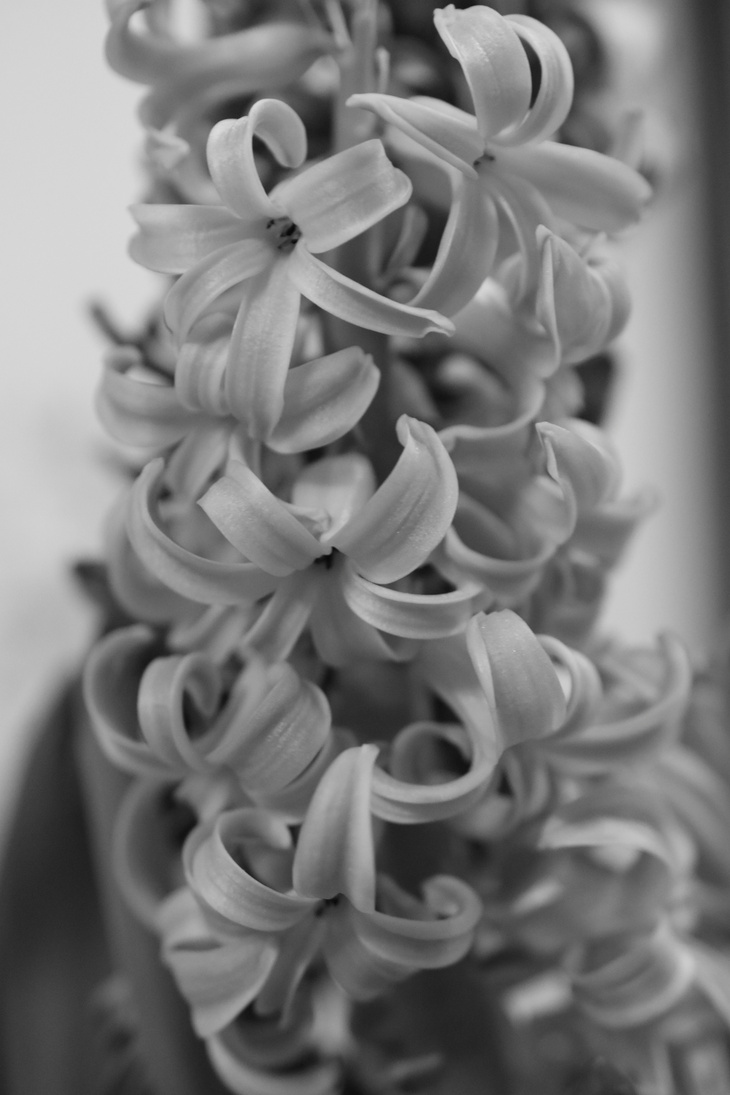 Image-normal