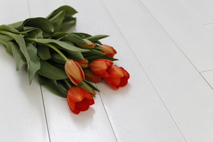 Image-preview_300x200