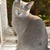 Image-square_50