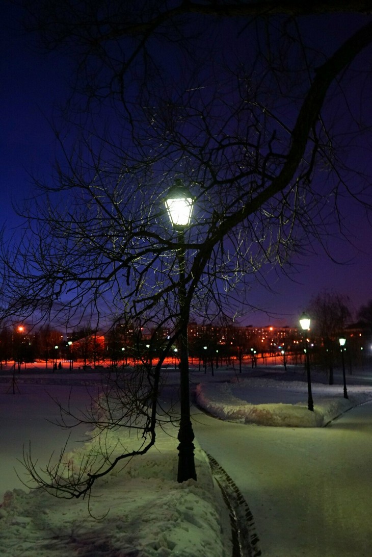 Image-normal