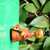 Image-square_50