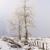 Image-square_50