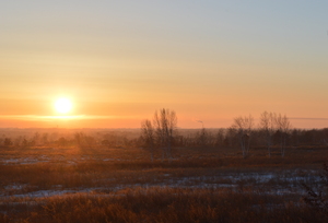 Image-preview_300x200