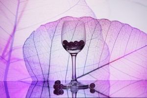 Image-preview_300x200
