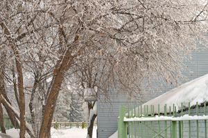 Image-preview_300x200