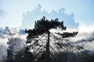 Image-preview_300x200