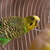 Image-square_50