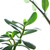 Image-square_50