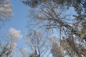 Image-preview_300x200