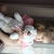 Image-square_50