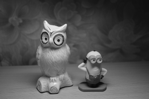 Image-preview_300x200