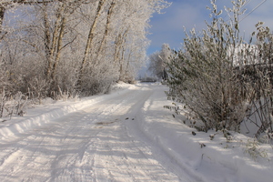 Image-preview_300x200