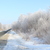Image-square_50