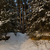 Image-square_50