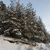 Image-square_50