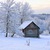Image-square_50