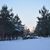 Image-square_50