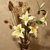 Image-square_50