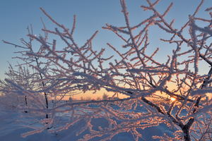 Image-preview_300x200