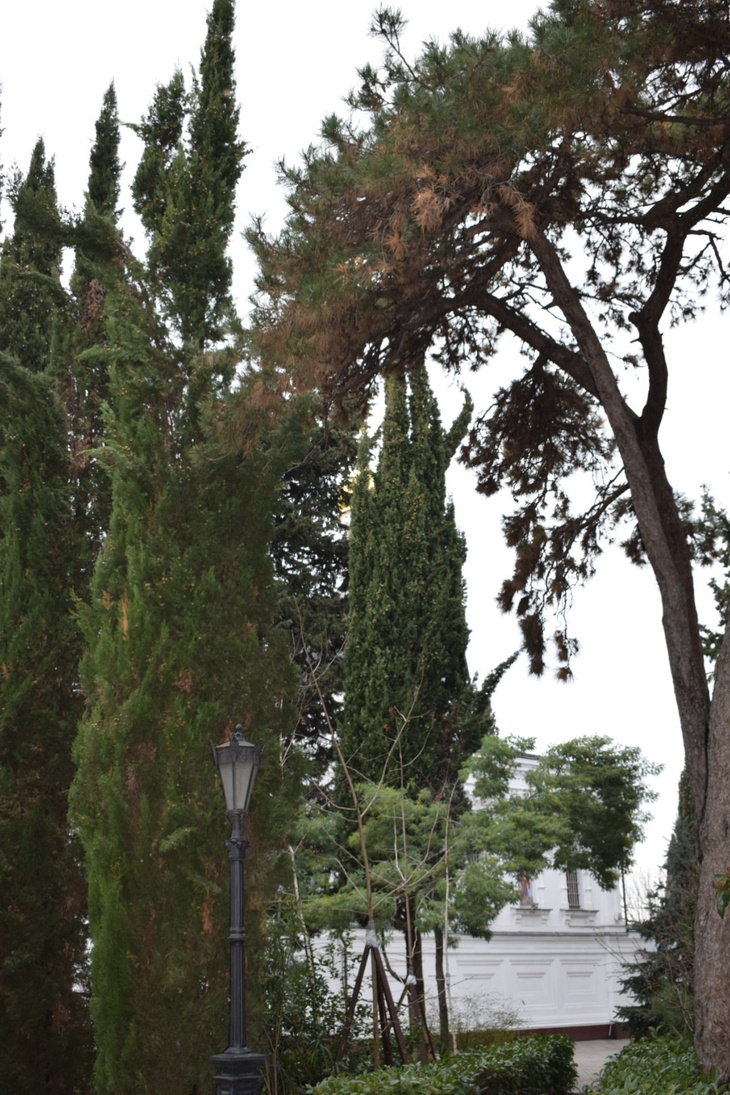 Image-normal