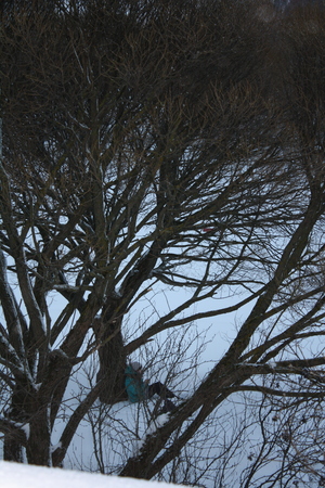 Image-preview_300x200