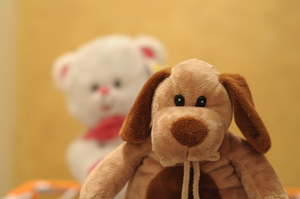 Image-preview_300x200