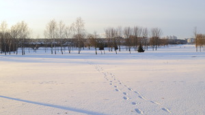 Image-preview_300x200