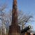 Image-square_50