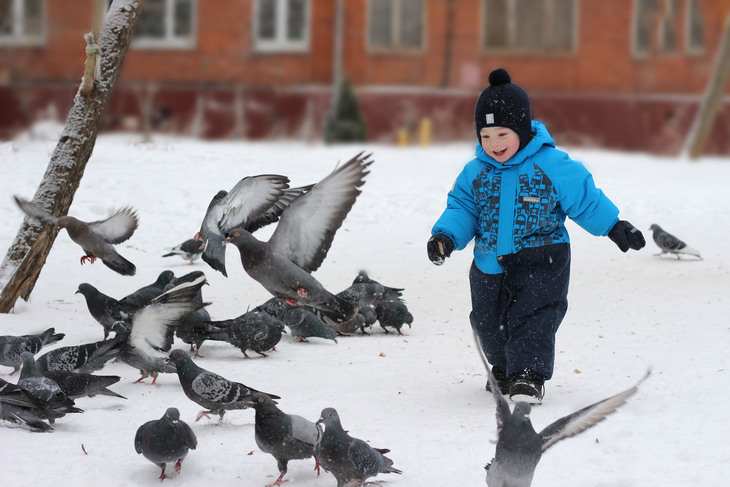 Ребенок гоняет. Дети гоняют птиц. Мальчик гоняет голубей. Мальчик голуби зима. Голубь зимой для детей.