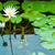 Image-square_50