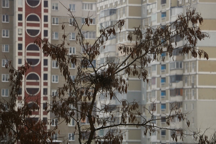 Image-normal