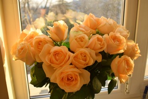 Image-preview_300x200